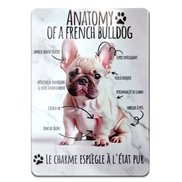 Plaque en métal décoration anatomie du bouledogue français