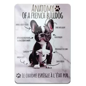 Plaque en métal décoration anatomie du bouledogue français