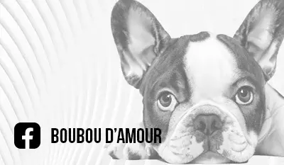 Lien vers page facebook boubou d'amour.com